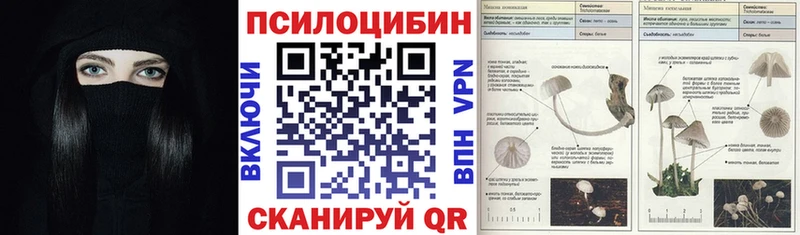 Галлюциногенные грибы прущие грибы  Купить где  Анапа 